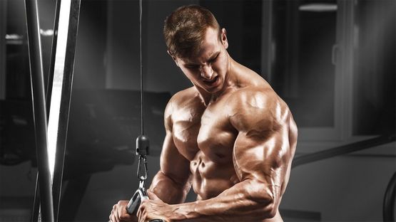 El Atleta de Musculación: Claves para el Éxito en el Entrenamiento y la Nutrición El Atleta de Musculación: Claves para el Éxito en el Entrenamiento y la Nutrición