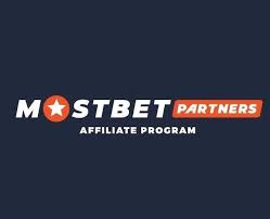 Take a Chance on Winning Your Guide to Successful Betting Take a Chance on Winning Your Guide to Successful Betting